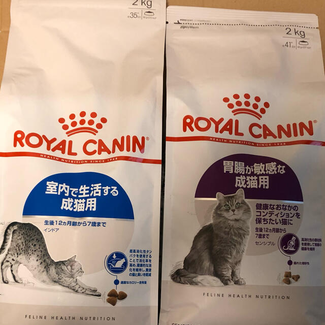 ロイヤルカナン 室内猫胃腸が敏感な成猫用 ドライフード2kg インドアキャット