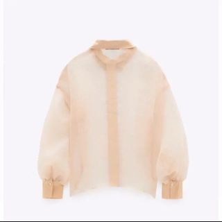 ZARA - 逃げ恥 新垣結衣着用 Zara マッチングディテール付きオーガンザ