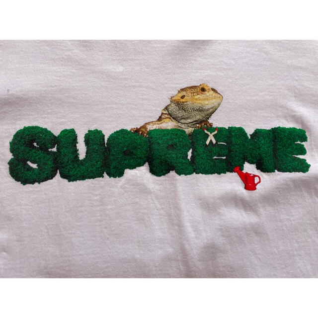 Supreme(シュプリーム)のsupreme 白 Tシャツ メンズ L カメレオン メンズのトップス(Tシャツ/カットソー(半袖/袖なし))の商品写真