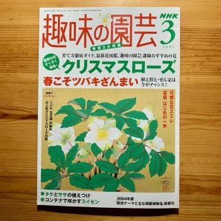 雑誌 【NHK趣味の園芸３月号/’05】　　　　クリスマス ローズ/ ツバキ特集(専門誌)