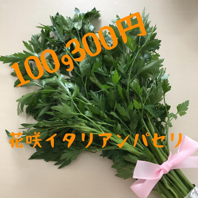 【半額セール】蕾付き花咲無農薬イタリアンパセリ100g300円 食品/飲料/酒の食品(野菜)の商品写真