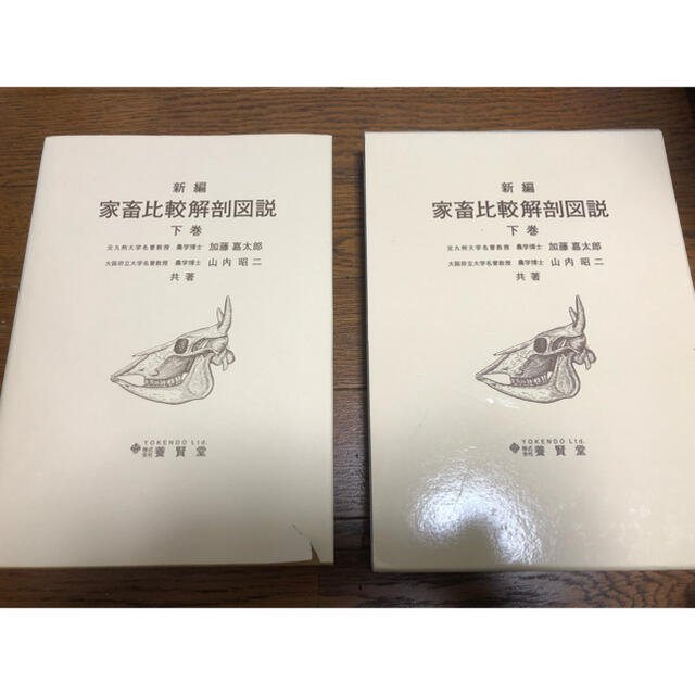 SALE／56%OFF】 新編家畜比較解剖図説 上巻下巻