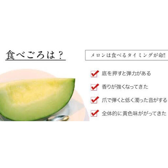 6L訳あり肥後グリーンメロン 食品/飲料/酒の食品(フルーツ)の商品写真