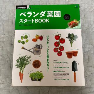 ベランダ菜園スタ－トＢＯＯＫ ベランダに、小さな畑を作ろう！(趣味/スポーツ/実用)