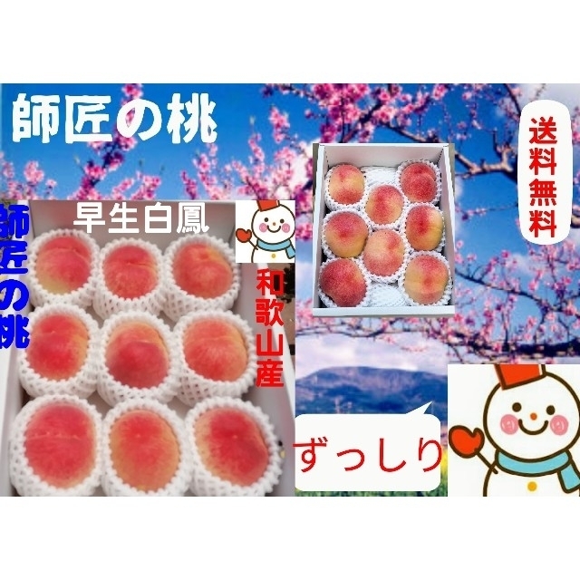 師匠の桃♥和歌山の早生白鳳ずっしり♥巣ごもり農家雪だるまから直送 食品/飲料/酒の食品(フルーツ)の商品写真