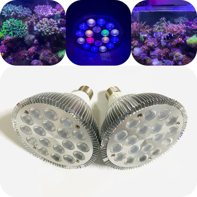 CW海水水槽　サンゴライト54w 高輝度プリズムLED2個　ライトクリップ2個