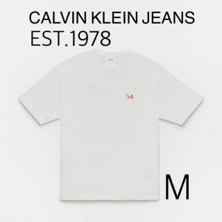 カルバンクライン(Calvin Klein)のCALVIN KLEIN JEANS EST.1978 Raf Simons(Tシャツ/カットソー(半袖/袖なし))
