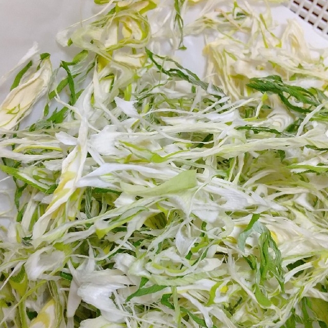 新鮮野菜【10種類の乾燥野菜おまかせMIX】50g×2袋  農薬不使用 食品/飲料/酒の食品(野菜)の商品写真