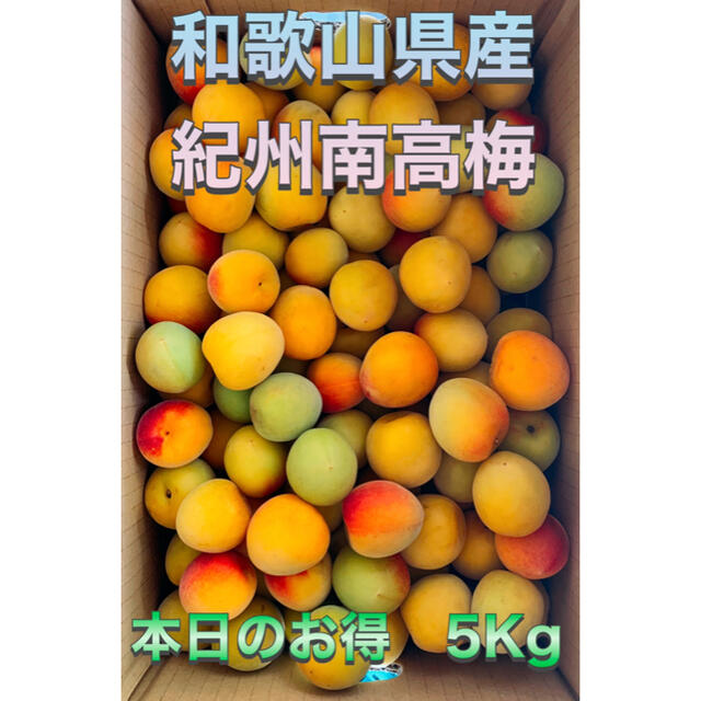 みかんキング　ゲリラSALE 紀州南高梅　4L3L 5Kg みかんキング 食品/飲料/酒の食品(フルーツ)の商品写真