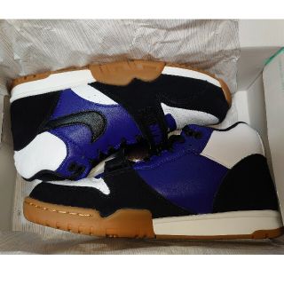 ナイキ(NIKE)のNIKE SB × POLAR AIR TRAINER 1(スニーカー)