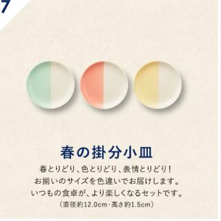 タチキチ(たち吉)の絶対もらえる！春のあいあい皿(食器)