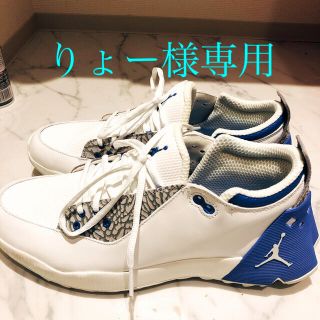 ナイキ(NIKE)のNIKE スニーカー　JORDAN ADG2 限定カラー　28cm(スニーカー)