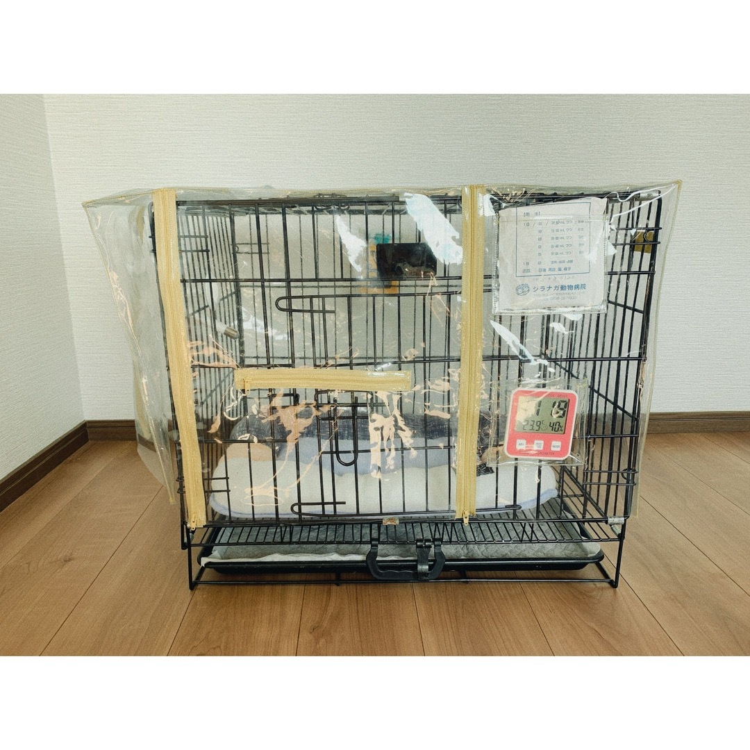 酸素室カバー オーダーメイド 確認用 ペット用酸素室※年末年始ご依頼お早めに‼︎ 酸素室カバー オーダーメイド 確認用 ペット用酸素室※年末年始ご依頼お早めに‼︎