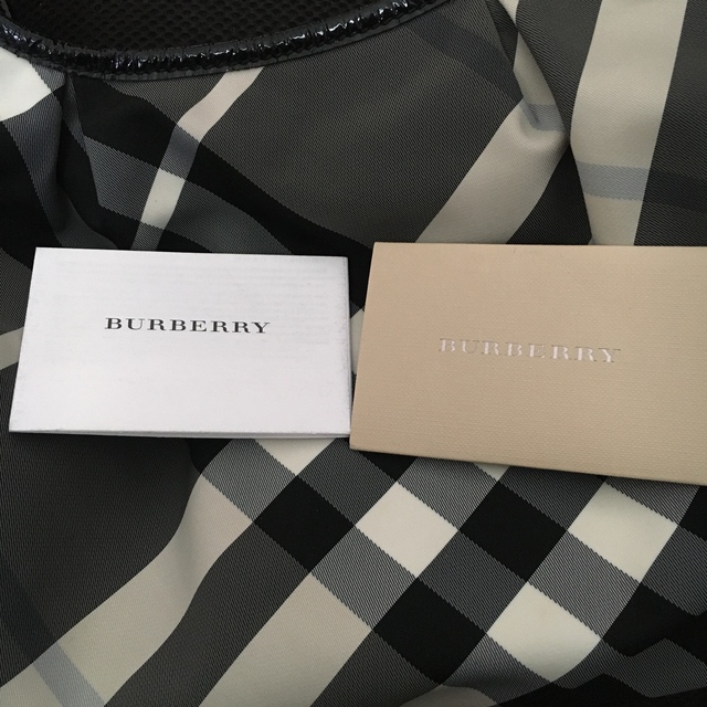 BURBERRY(バーバリー)のバーバリーバック レディースのバッグ(ショルダーバッグ)の商品写真