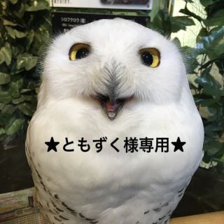 イナバペットフード(いなばペットフード)のともずく様専用／猫おやつセット(ペットフード)