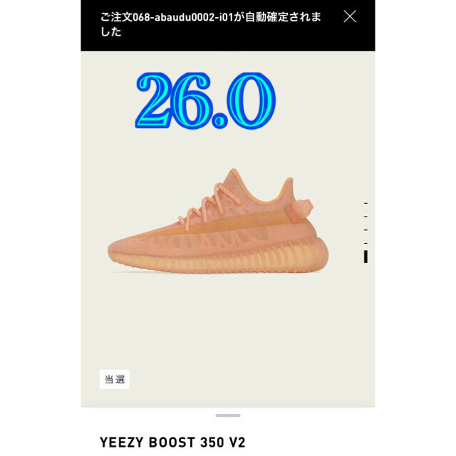 adidas(アディダス)のアディダス イージーブースト350 V2 mono clay メンズの靴/シューズ(スニーカー)の商品写真