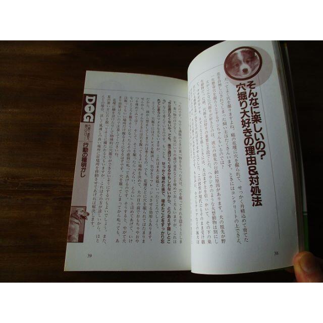 イヌの気持ちが１００％わかる本 幸せな飼い主になるためのつき合い方○秘徹底分析 エンタメ/ホビーの本(住まい/暮らし/子育て)の商品写真