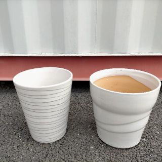 胡蝶蘭  陶器鉢 2鉢セット(プランター)