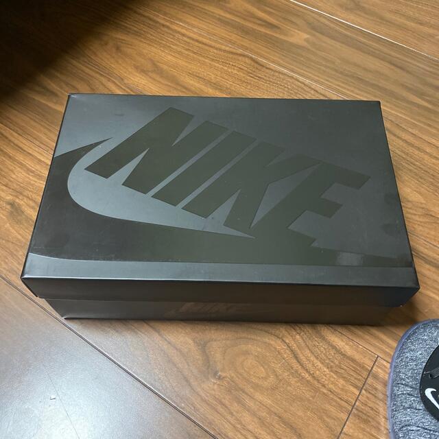NIKE(ナイキ)のNIKE エアフォームポジット　プロ　新品 メンズの靴/シューズ(スニーカー)の商品写真