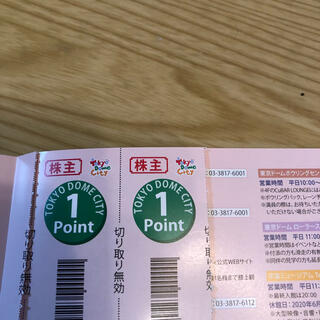 東京ドームシティ　ラクーア　株主優待得10チケット2P(遊園地/テーマパーク)