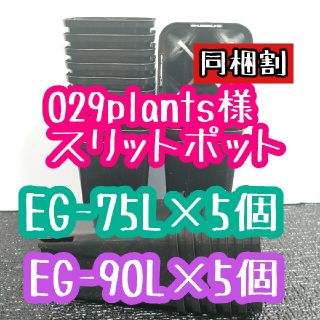 029plants様 スリットポット(その他)