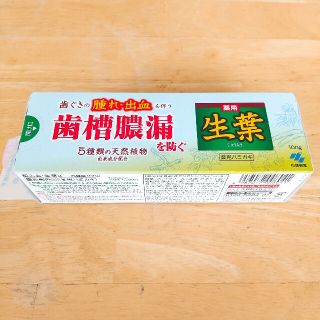 コバヤシセイヤク(小林製薬)の【新品・未開封】生葉 歯磨き粉 歯槽膿漏を防ぐ(歯磨き粉)