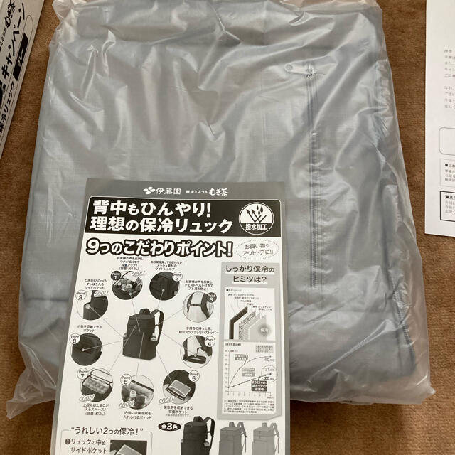 伊藤園(イトウエン)の保冷リュック レディースのバッグ(リュック/バックパック)の商品写真