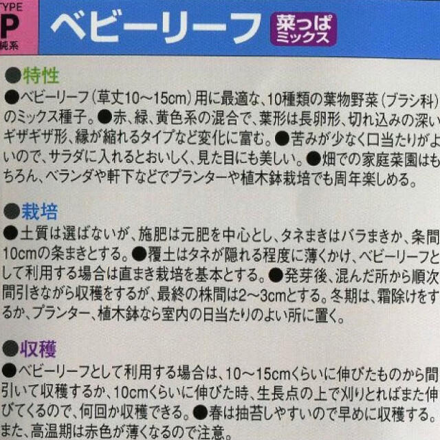 【簡単栽培‼️】ベビーリーフ菜っぱミックスの種 5ml 野菜 家庭菜園 タネ 種 食品/飲料/酒の食品(野菜)の商品写真