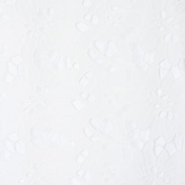 GRACE CONTINENTAL(グレースコンチネンタル)のグレースコンチネンタル　カットワークVネックトップ　タグ付き レディースのトップス(シャツ/ブラウス(半袖/袖なし))の商品写真