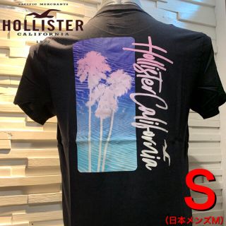 ホリスター(Hollister)のホリスター  HOLLISTER  Tシャツ  S 新品 正規品　UV ロゴ35(Tシャツ/カットソー(半袖/袖なし))