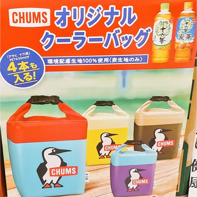 CHUMS(チャムス)のチャムスオリジナルクーラーバッグ２個セット スポーツ/アウトドアのアウトドア(その他)の商品写真