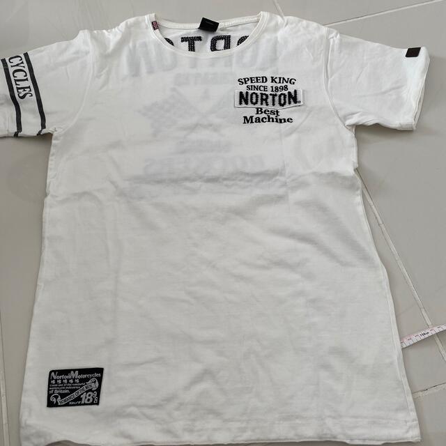 Norton(ノートン)のノートン　シャツ メンズのトップス(Tシャツ/カットソー(半袖/袖なし))の商品写真