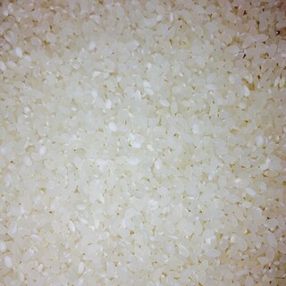 無洗米　(ブレンド米)　　　 　10Kg(米/穀物)