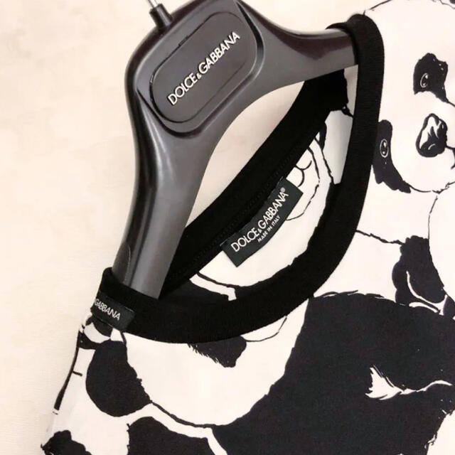 DOLCE&GABBANA - 【美品】DOLCE&GABBANA 2019ss パンダ柄Tシャツ 確実
