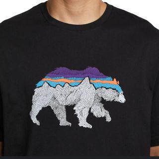 ⭐️人気⭐️新品！patagonia バックフォーグッドオーガニックTシャツ⭐️XL⭐️