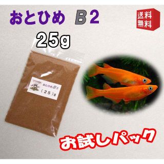 めだか の 餌 エサ◇おとひめ B２ ２５ｇ◇メダカ の えさ◇喰い付き良好①(アクアリウム)