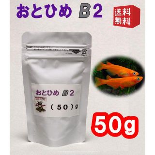 めだか の 餌 エサ◇おとひめ B２ ５０ｇ◇メダカ の えさ◇喰い付き抜群②(アクアリウム)