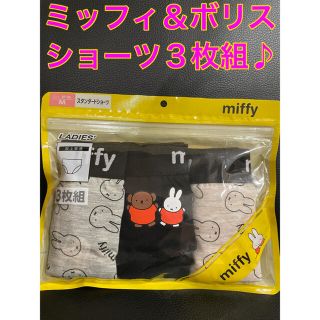 ミッフィ　ボリス　ショーツ　Ｍ　肌着　未開封　ディック　ブルーナ(ショーツ)