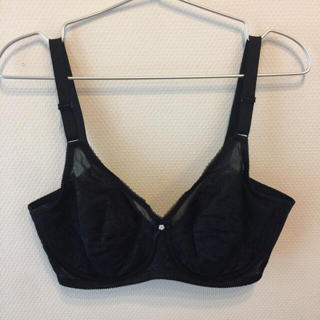 yumi 様専用 シャンデール ブラジャー E85 2枚セット - www.glycoala.com