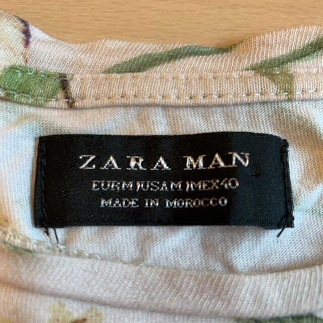 ZARA(ザラ)のZARA MAN 全面プリント　Tシャツ メンズのトップス(Tシャツ/カットソー(半袖/袖なし))の商品写真