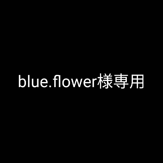 blue.flower様専用 キッズ/ベビー/マタニティの授乳/お食事用品(哺乳ビン用乳首)の商品写真