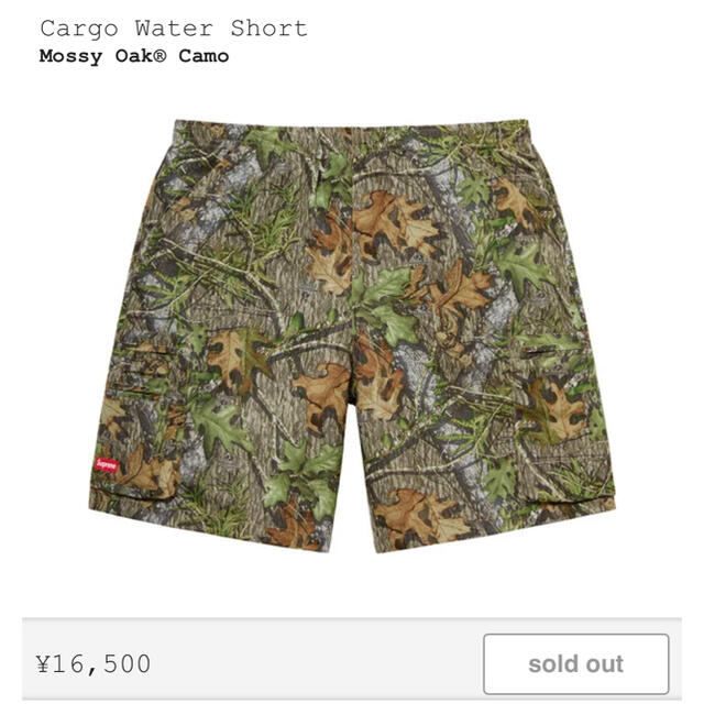 Supreme(シュプリーム)のsupreme cargo water short 【最終値下げ中】 メンズのパンツ(ショートパンツ)の商品写真