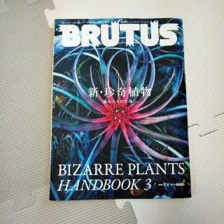 BRUTUS (ブルータス) 2018年 7/1号(その他)