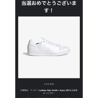 アディダス(adidas)のadidas stan smith × kyne 25.5cm(スニーカー)