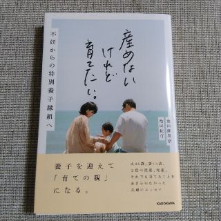 産めないけれど育てたい。 不妊からの特別養子縁組へ(文学/小説)