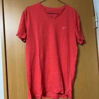 アメリカンイーグル(American Eagle)のアメリカンイーグル Tシャツ M(Tシャツ/カットソー(半袖/袖なし))