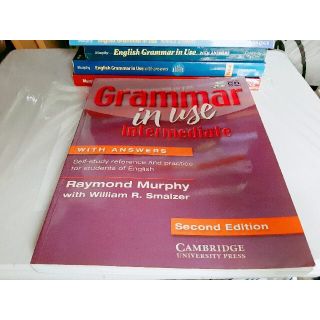 grammar in use lntermadiate　中の頁の写真記載多め(語学/参考書)