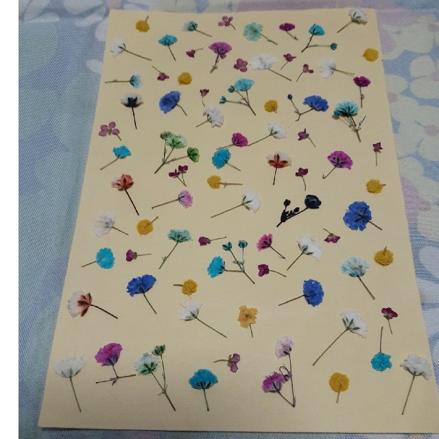 押し花 かすみ草ミックス、ミモザ、アリッサム ハンドメイド 素材/材料