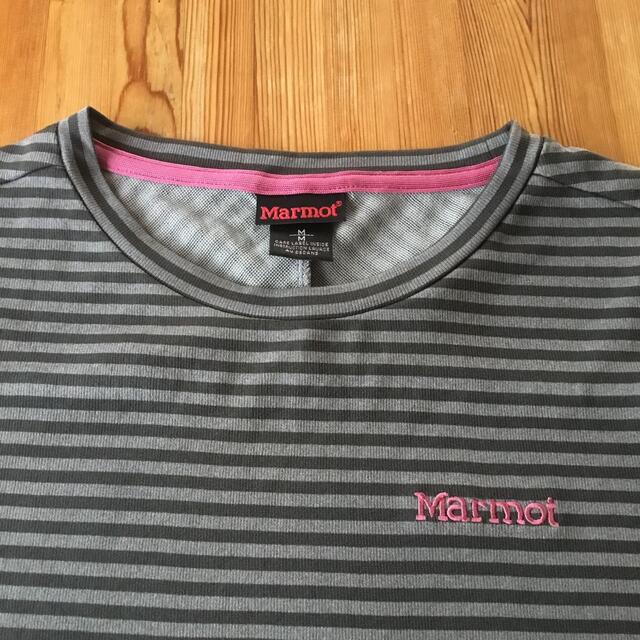 MARMOT(マーモット)のマーモット  ボーダーTシャツ　レディース　M レディースのトップス(Tシャツ(半袖/袖なし))の商品写真