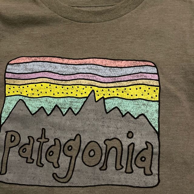 patagonia(パタゴニア)のＴシャツ　男の子　110㎝ キッズ/ベビー/マタニティのキッズ服男の子用(90cm~)(Tシャツ/カットソー)の商品写真